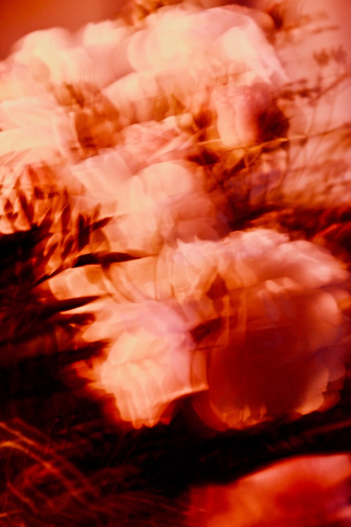 Bouquet baroque sculptural aux roses éclatantes – design floral artistique par Simon Albo