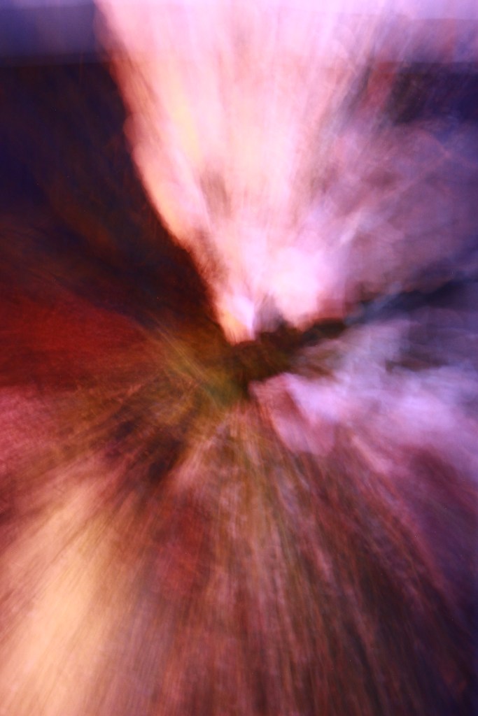 Roses éclatantes en mouvement – création florale artistique baroque de Simon Albo