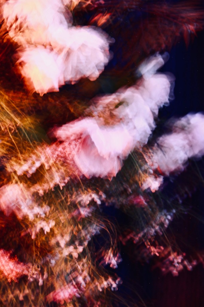 Composition florale baroque aux tons lumineux et chauds – création artistique de Simon Albo